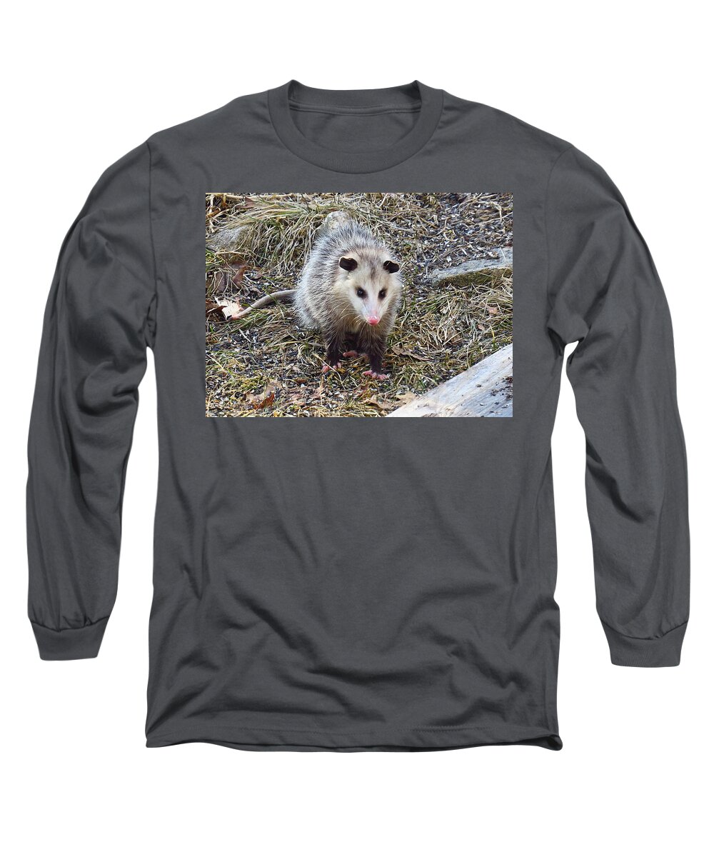 Possum Long Sleeve T-Shirt featuring the photograph Possum Visitor by MTBobbins Photography