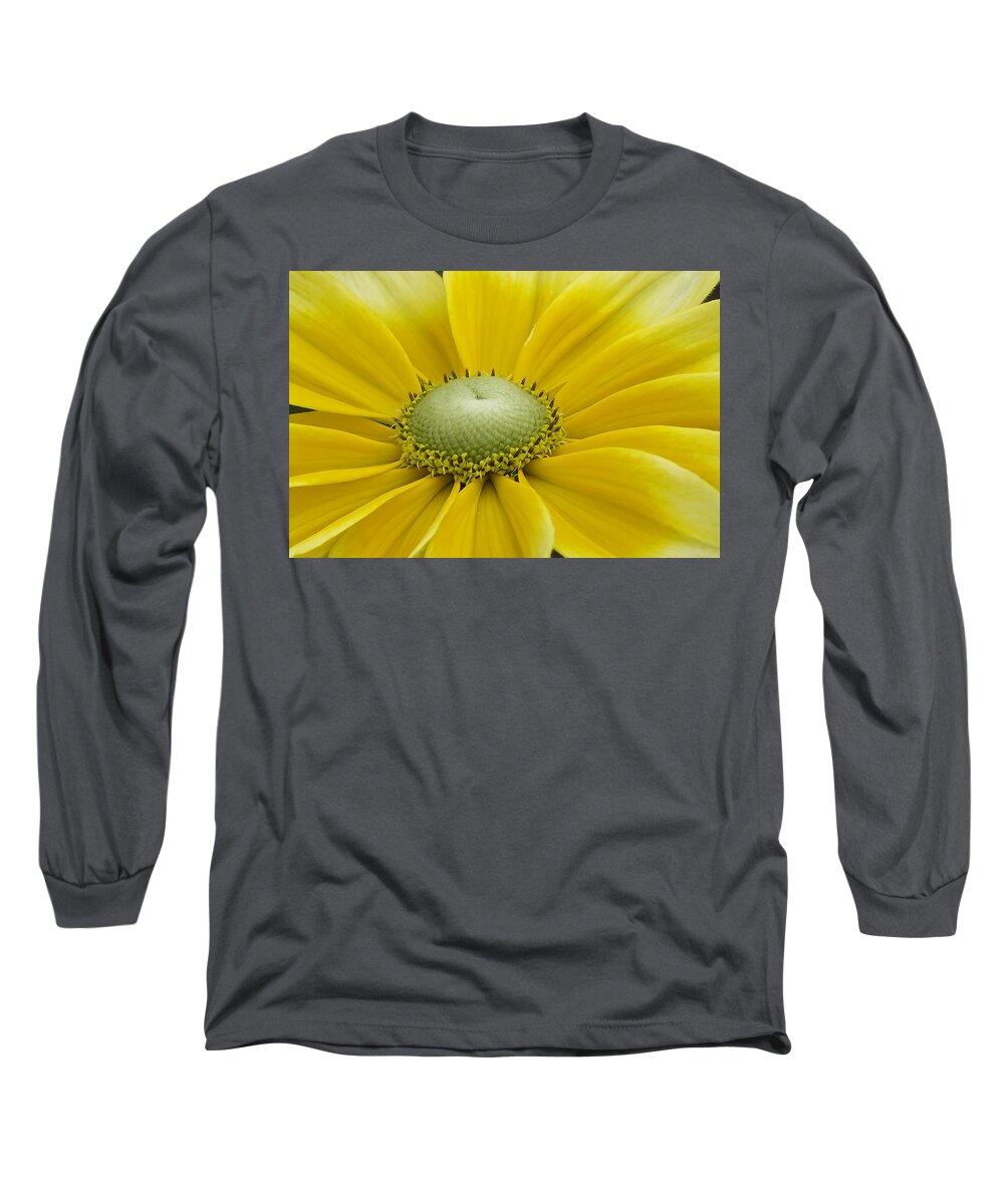 Flower Long Sleeve T-Shirt featuring the photograph Prairie sun by David Freuthal