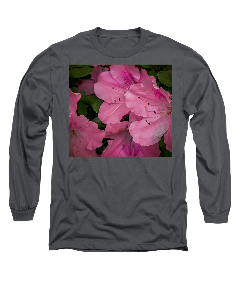 Art Prints Long Sleeve T-Shirt featuring the photograph Premium Pink by Dave Bosse