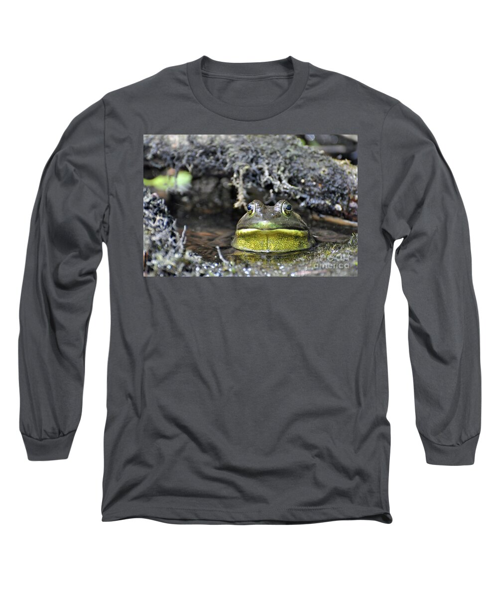 Frog Long Sleeve T-Shirt featuring the photograph Bullfrog by Glenn Gordon