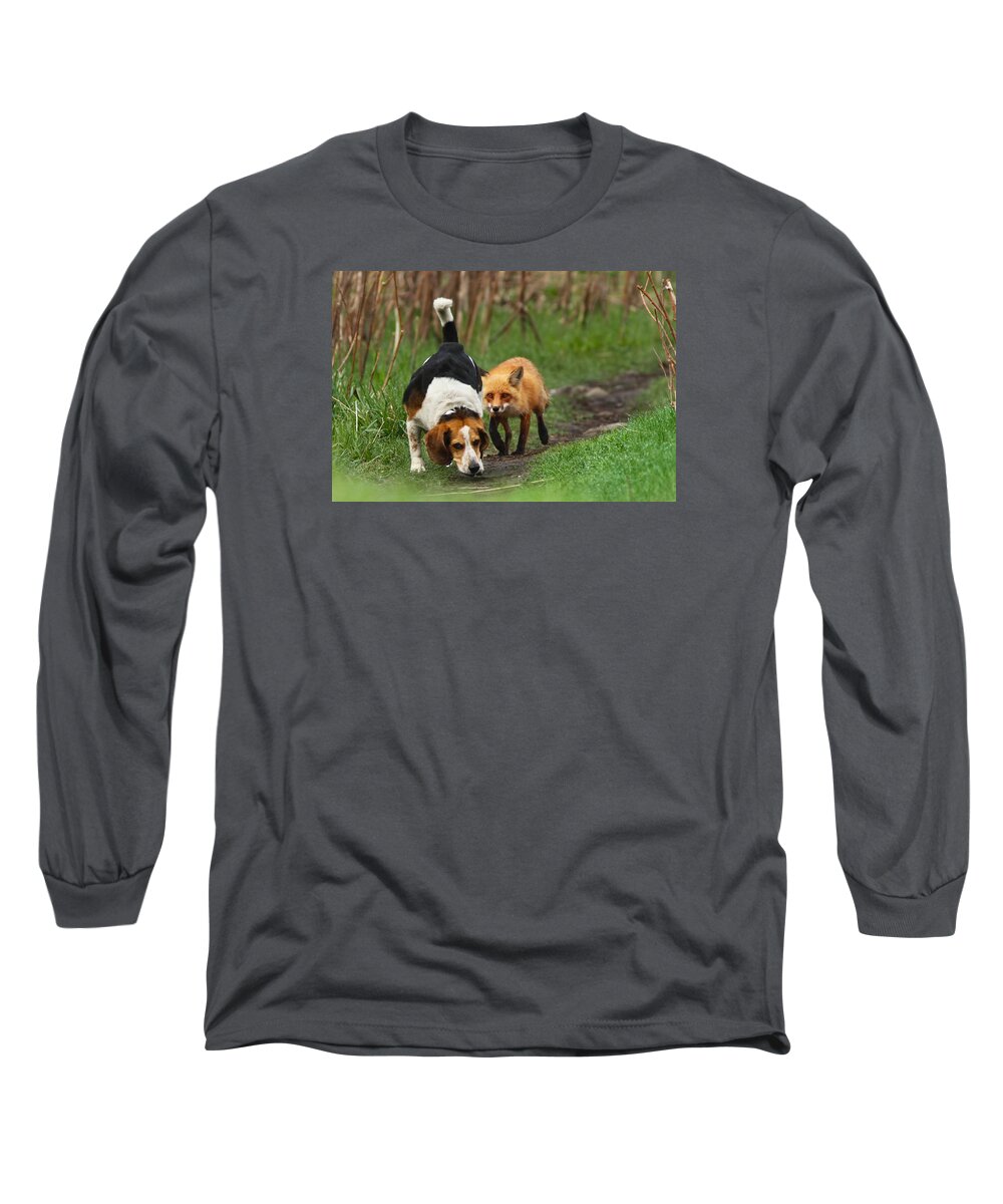 Animals Long Sleeve T-Shirt featuring the photograph Probably the World's Worst Hunting Dog by Mircea Costina Photography