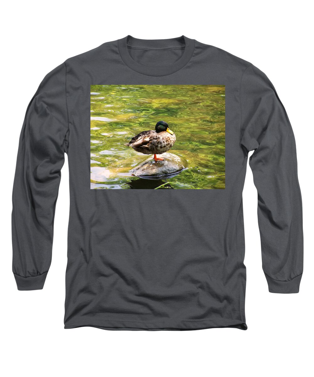 Bird Long Sleeve T-Shirt featuring the photograph Psychedelic Duck by Flees Photos