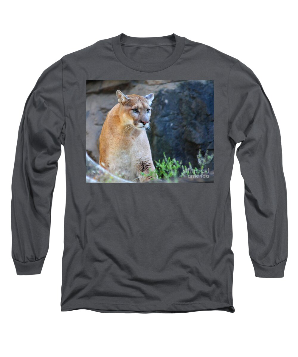 Puma On The Watch Long Sleeve T-Shirt featuring the photograph Puma On The Watch by John Telfer