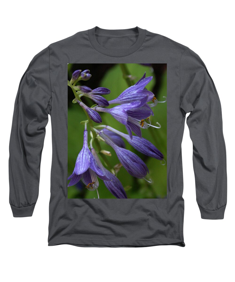 Landscape Long Sleeve T-Shirt featuring the photograph Purple Flowers by Chauncy Holmes