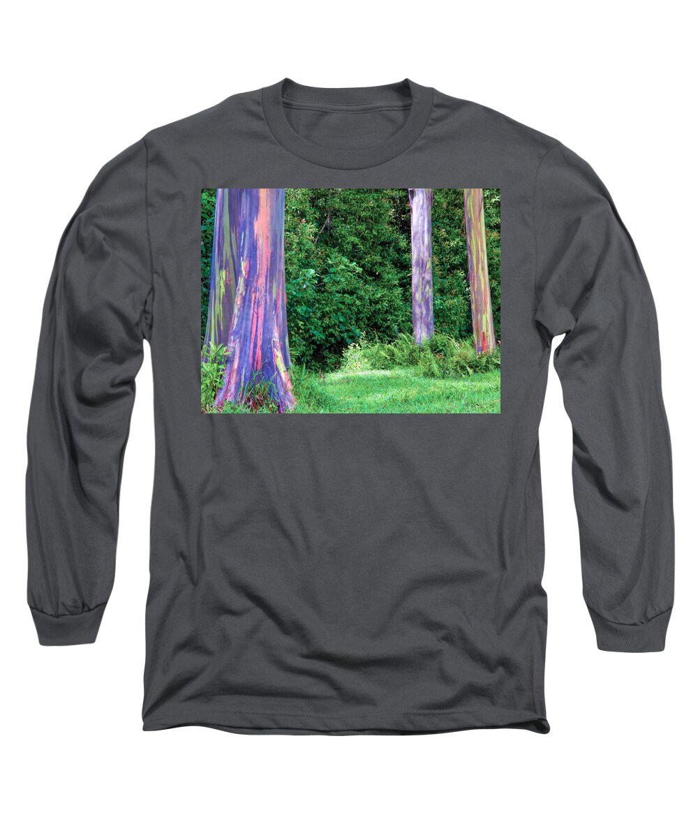 Hawaii Long Sleeve T-Shirt featuring the photograph Rainbow Eucalyptus 5 by Dawn Eshelman