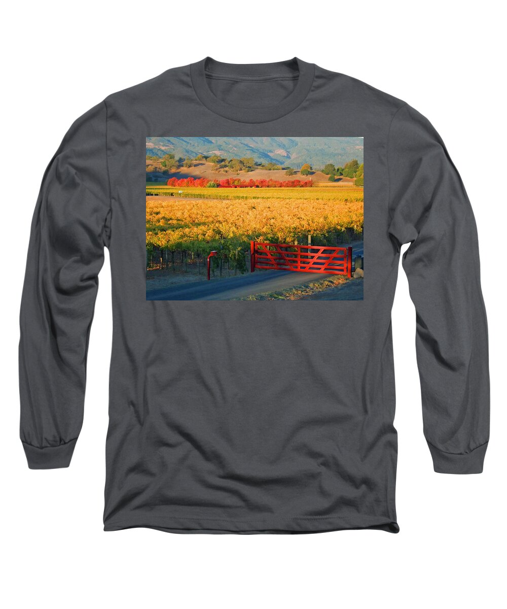 Landscape Long Sleeve T-Shirt featuring the photograph Red Gate at Sunrise by Ann Nunziata