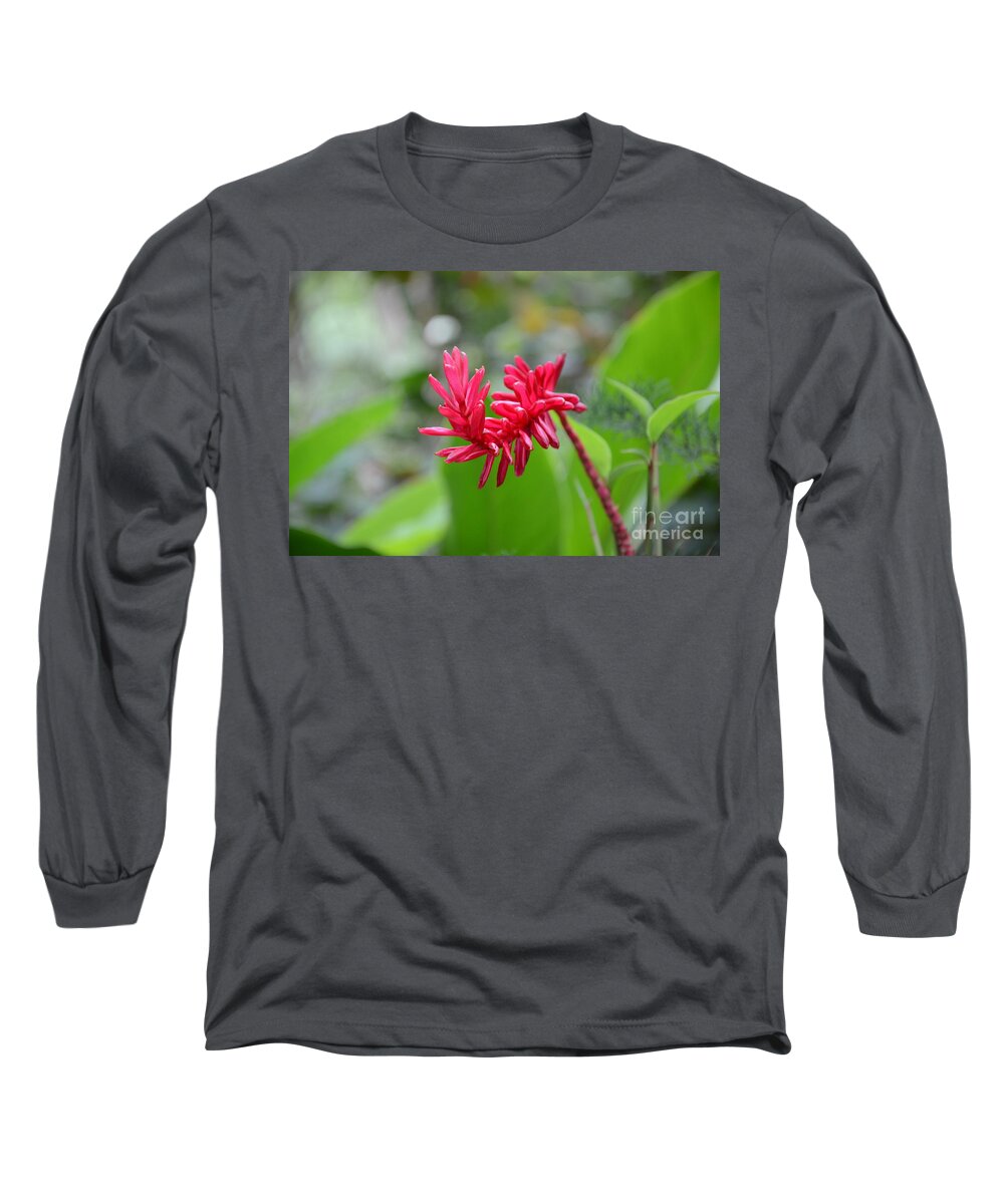 Red Ginger Long Sleeve T-Shirt featuring the photograph Red Ginger by Laurel Best