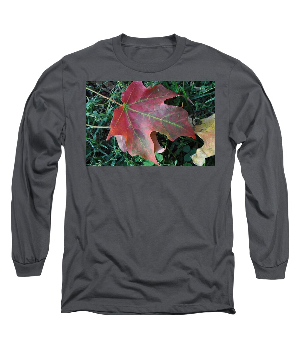 Red Long Sleeve T-Shirt featuring the photograph Red Leaf by Frank Madia