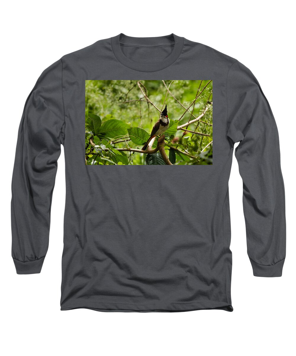 Pycnonotus Jocosus Long Sleeve T-Shirt featuring the photograph Red-whiskered Bulbul by SAURAVphoto Online Store