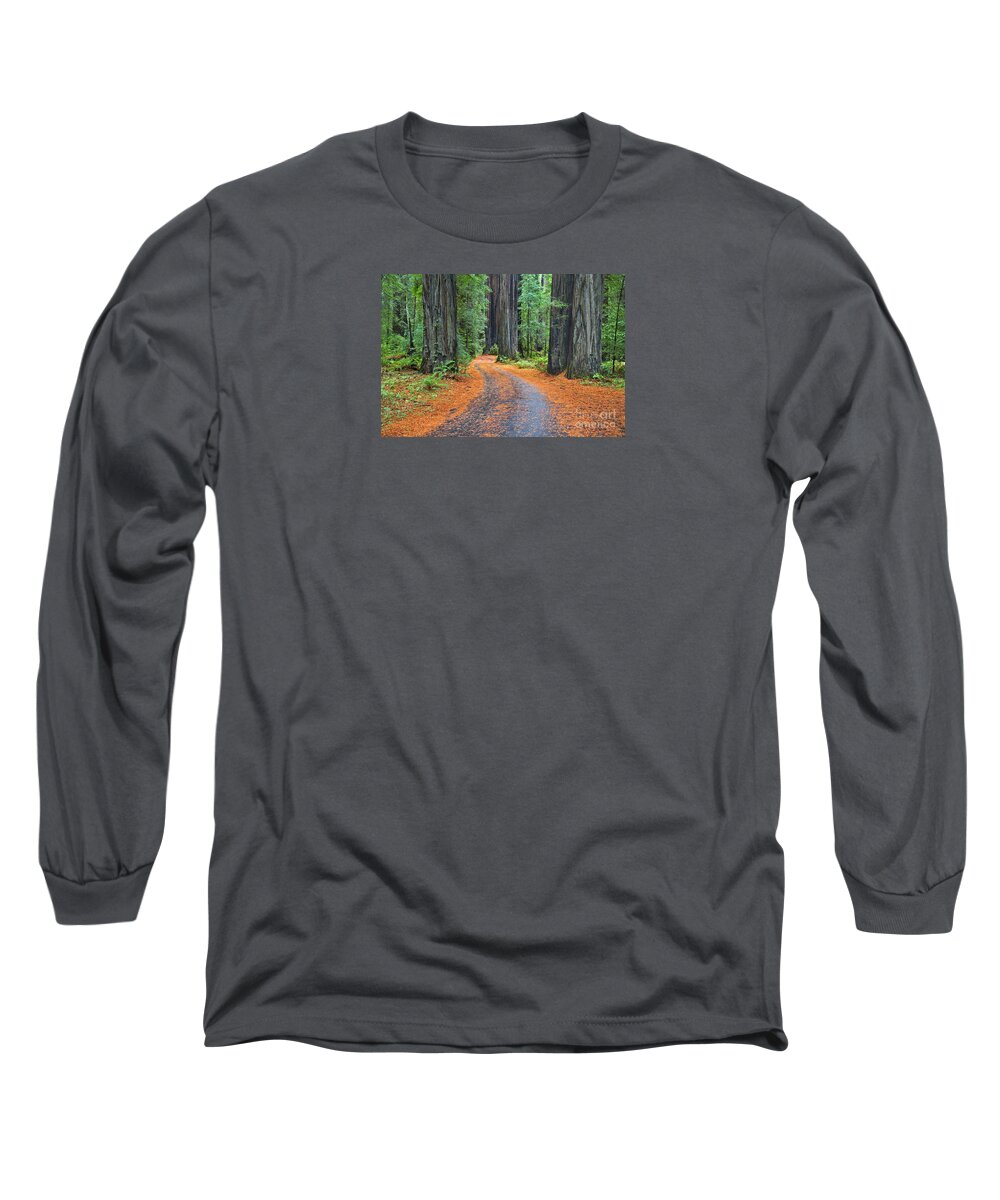 California Long Sleeve T-Shirt featuring the photograph Redwood Way by Alice Cahill