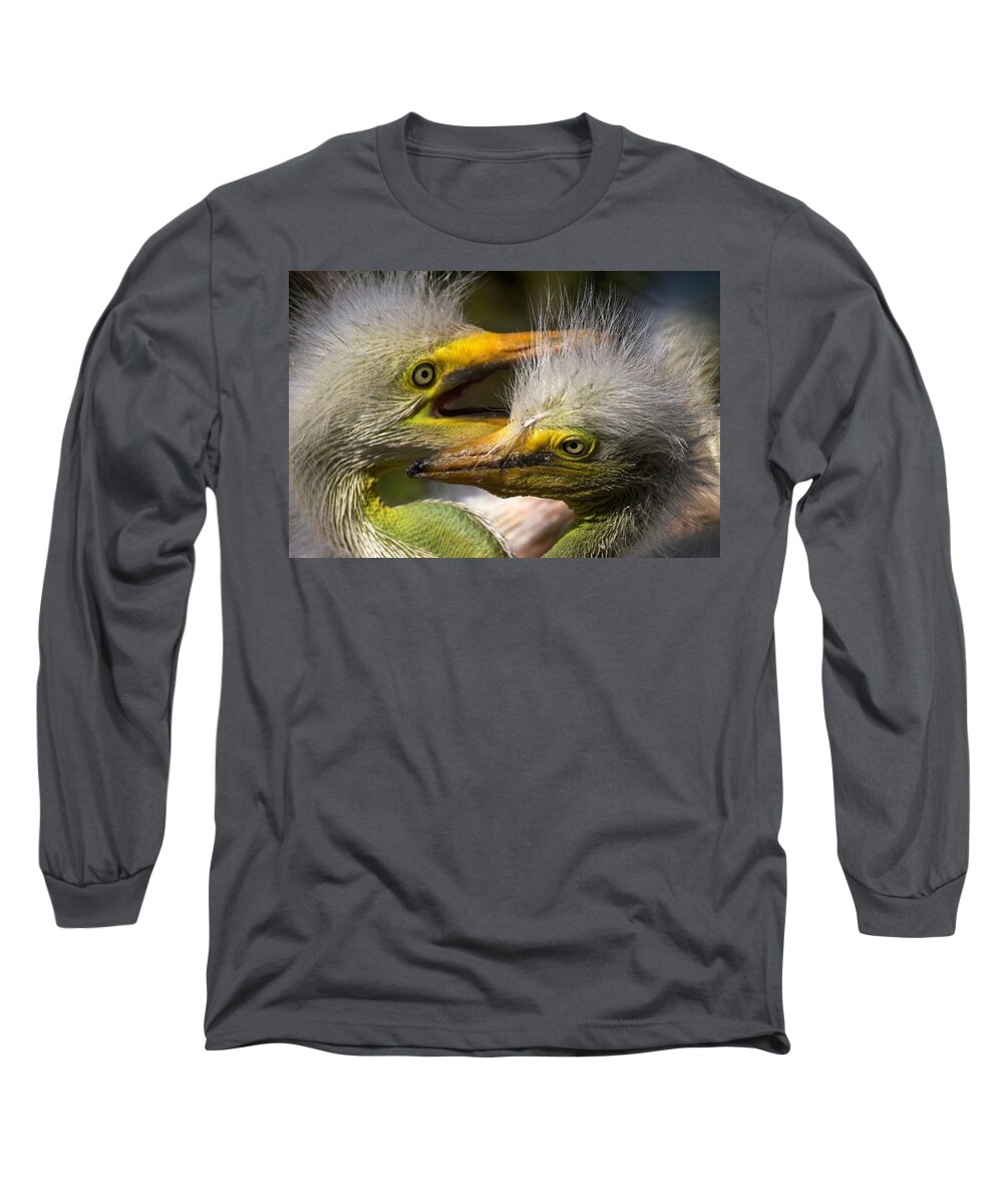 Wildbird Rookery Long Sleeve T-Shirt featuring the photograph Rookery 7 by David Beebe