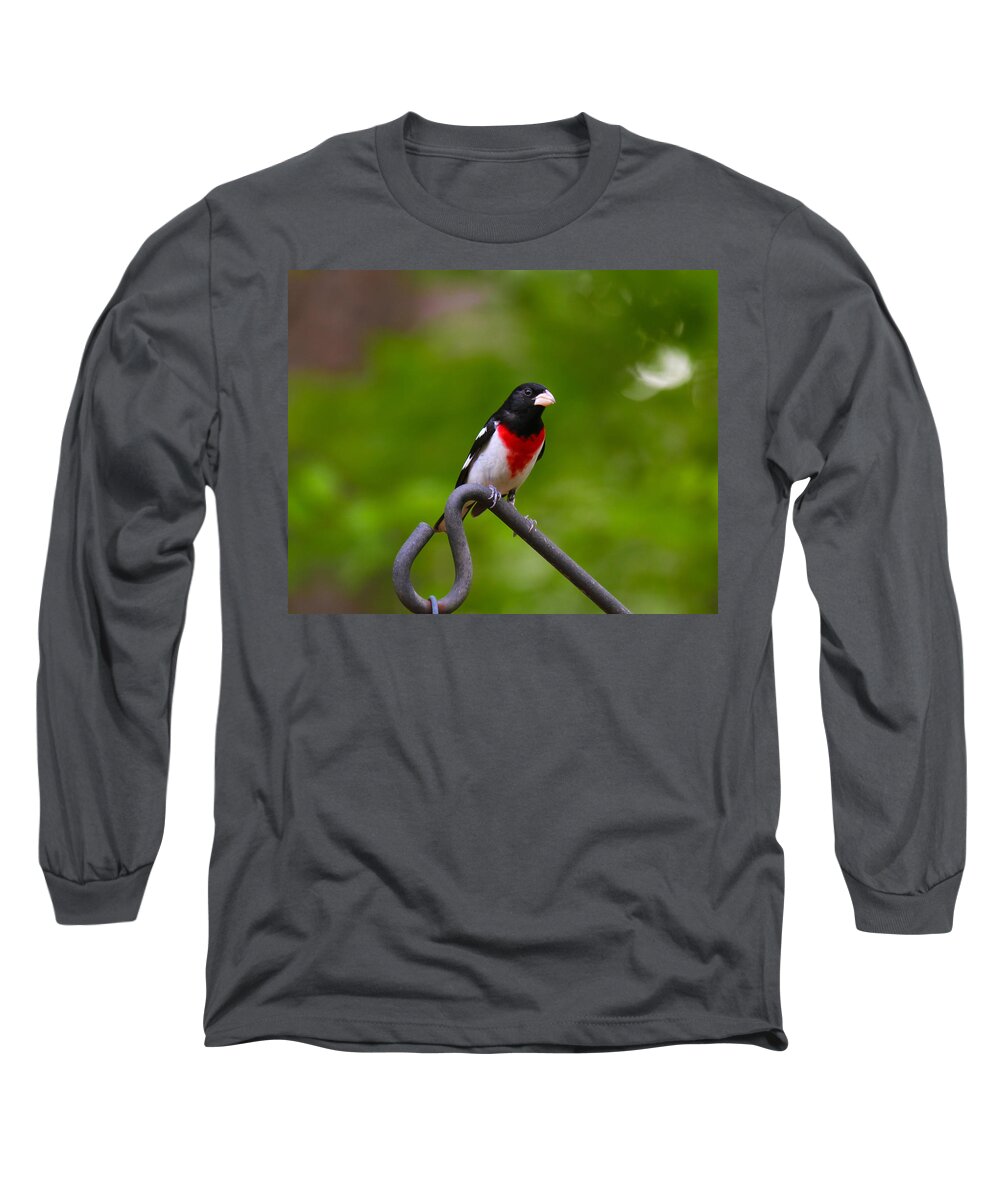 Rose Breasted Grosbeak Long Sleeve T-Shirt featuring the photograph Rose Breasted Grosbeak by Robert L Jackson