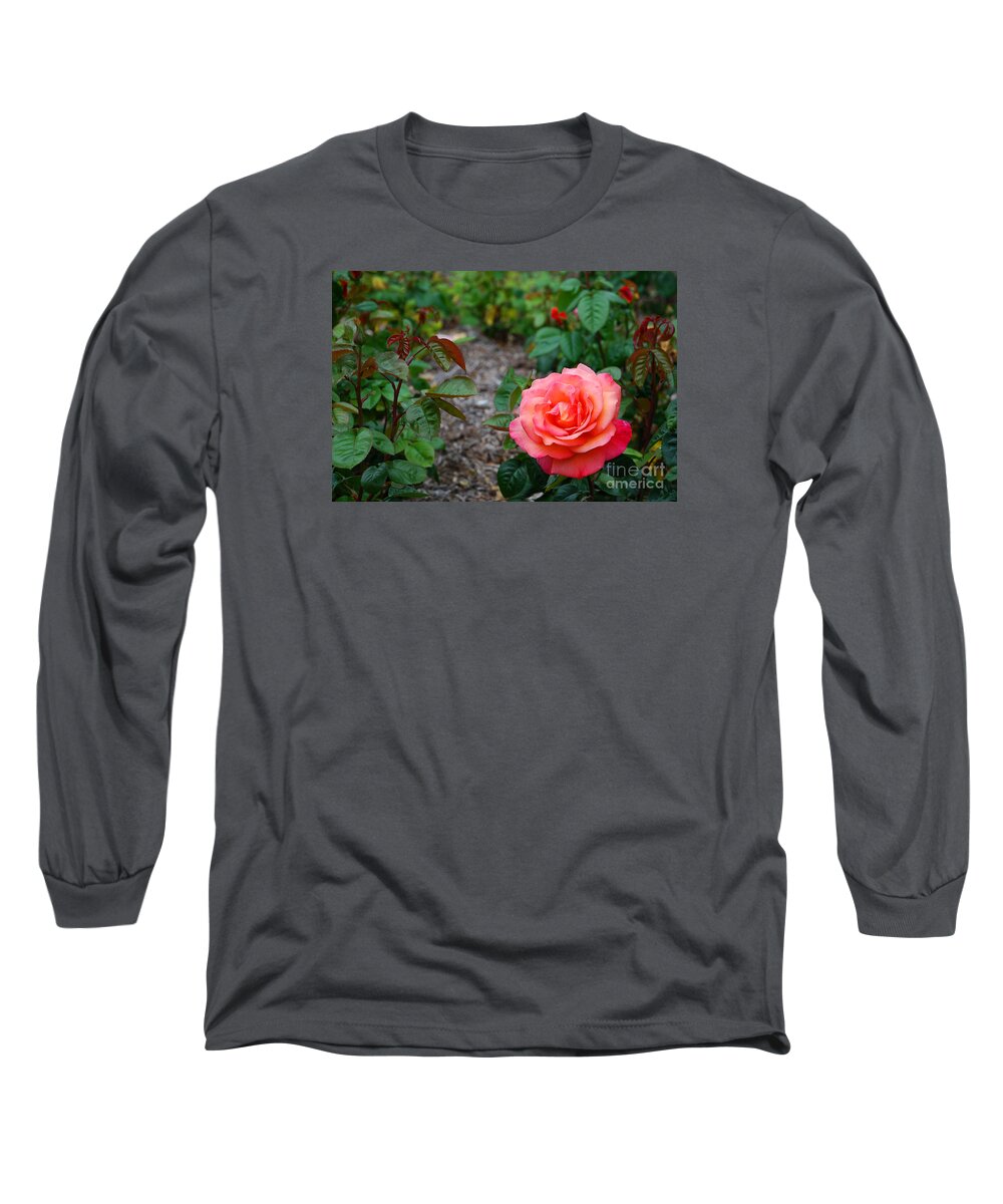 Rose Long Sleeve T-Shirt featuring the photograph Rose Garden by Richard Gibb