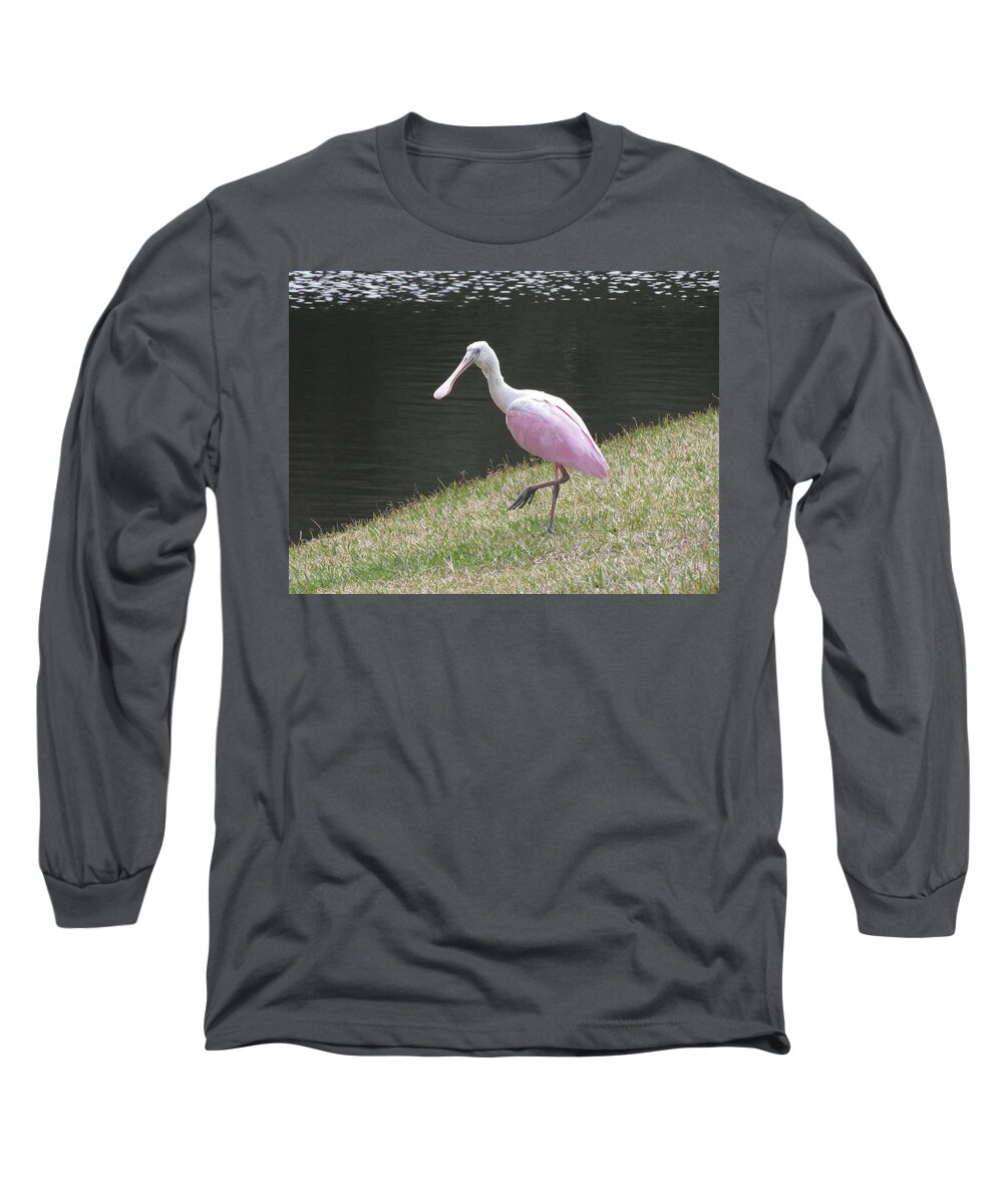 Animals Long Sleeve T-Shirt featuring the photograph Roseate Spoonbill Walking by Ellen Meakin