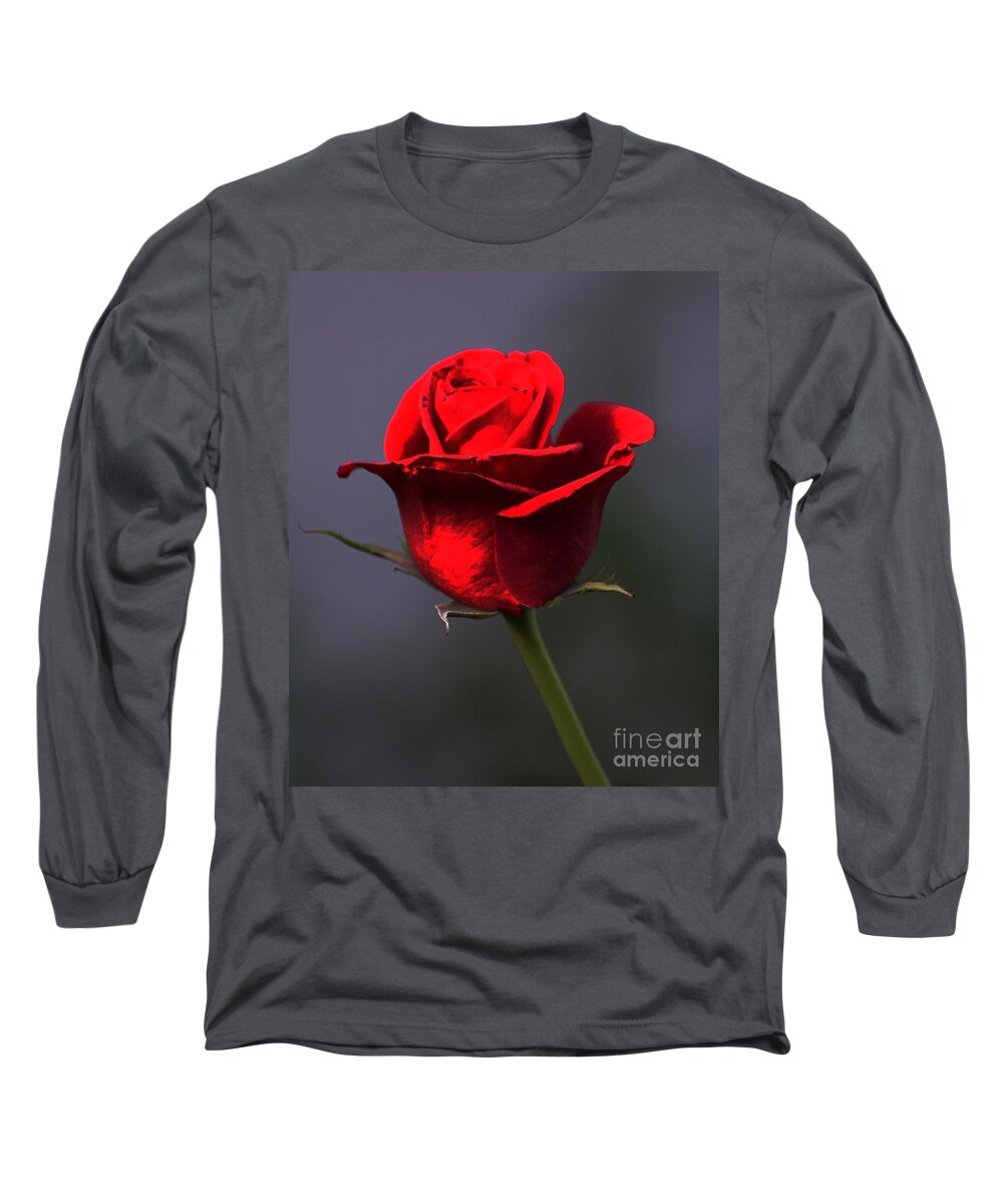 Flower Long Sleeve T-Shirt featuring the photograph Rosie by Cindy Manero