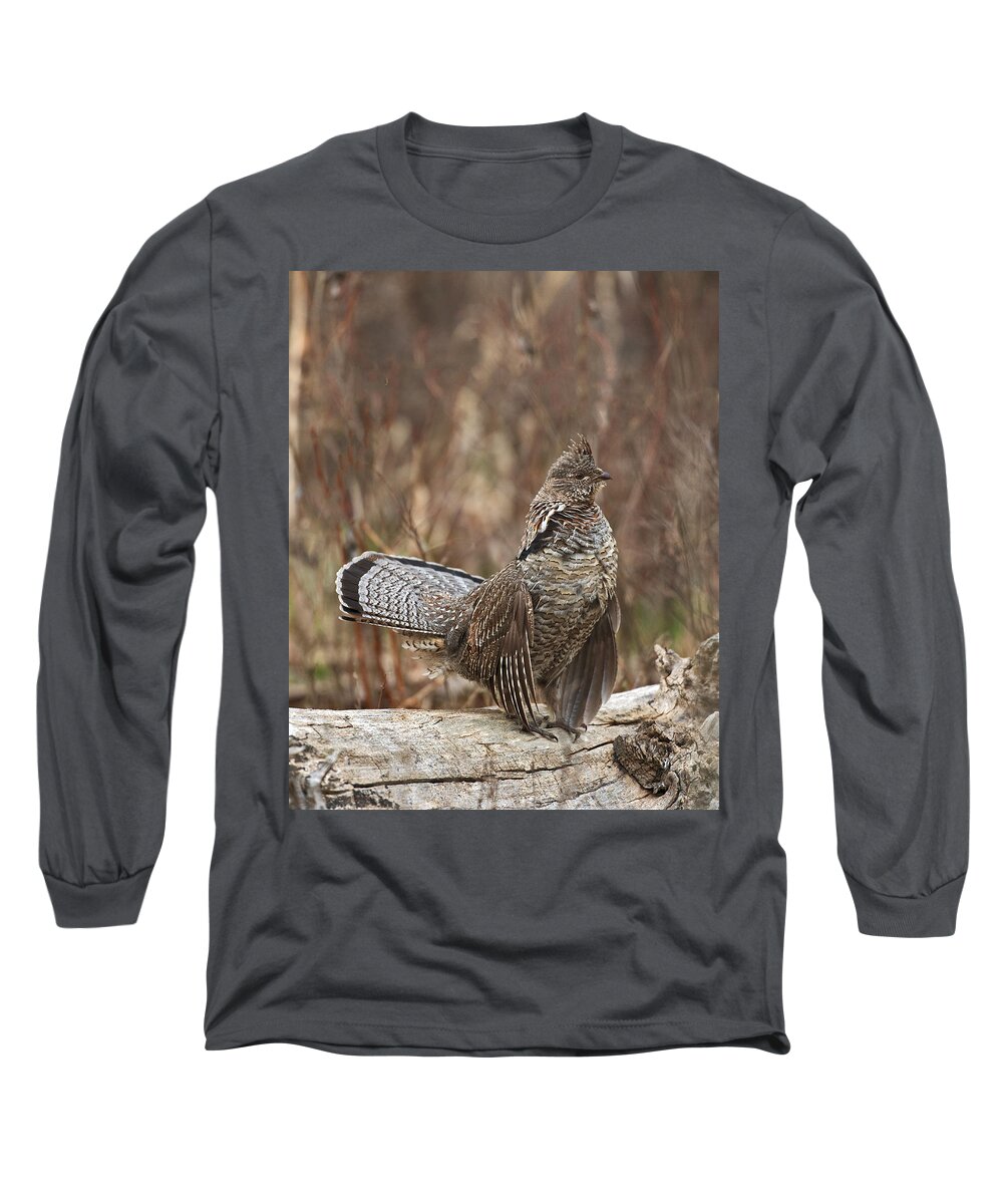 Ruffled Long Sleeve T-Shirt featuring the photograph Ruffled Grouse drumming 2 by Gary Langley