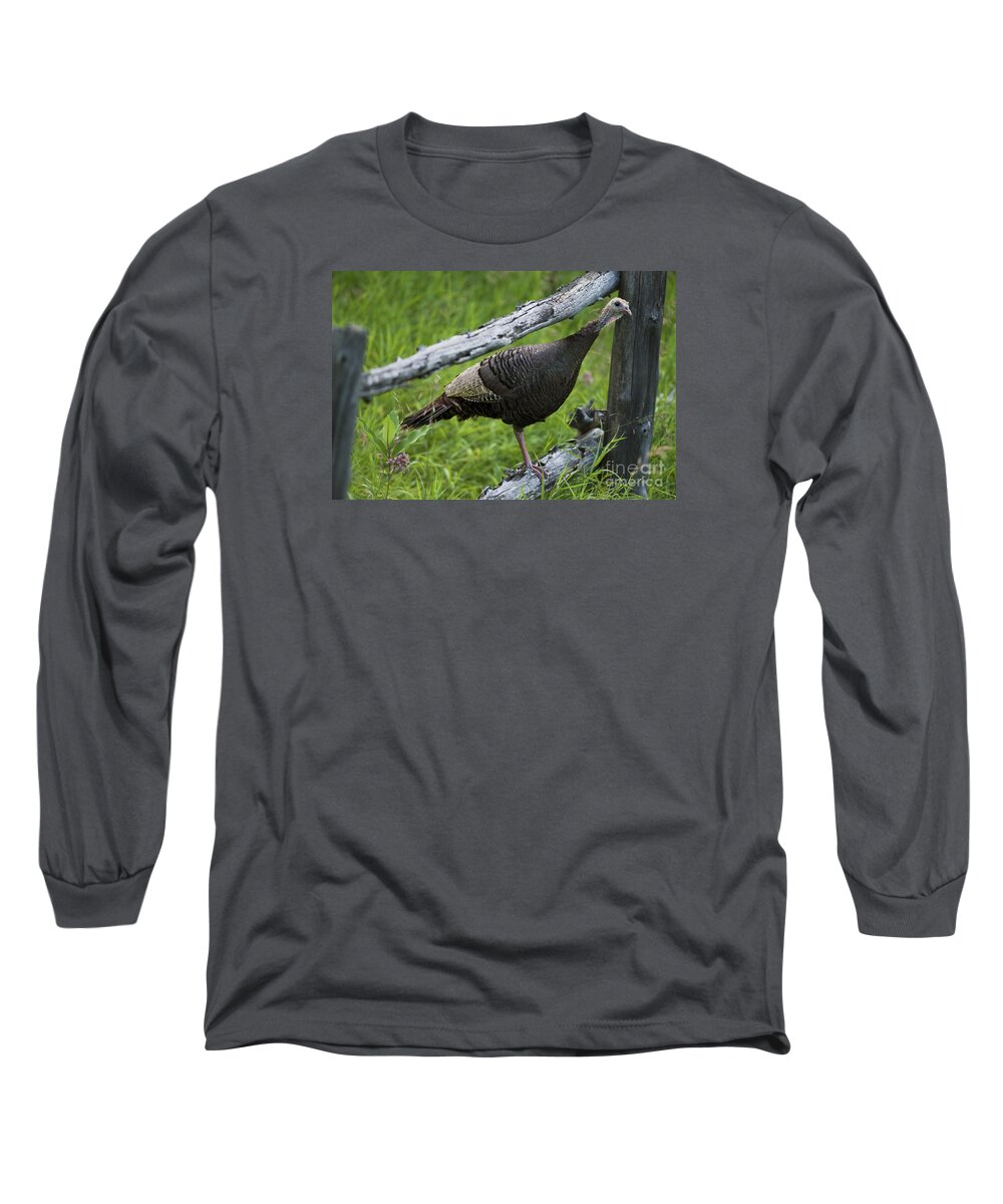 Festblues Long Sleeve T-Shirt featuring the photograph Rural Adventure by Nina Stavlund