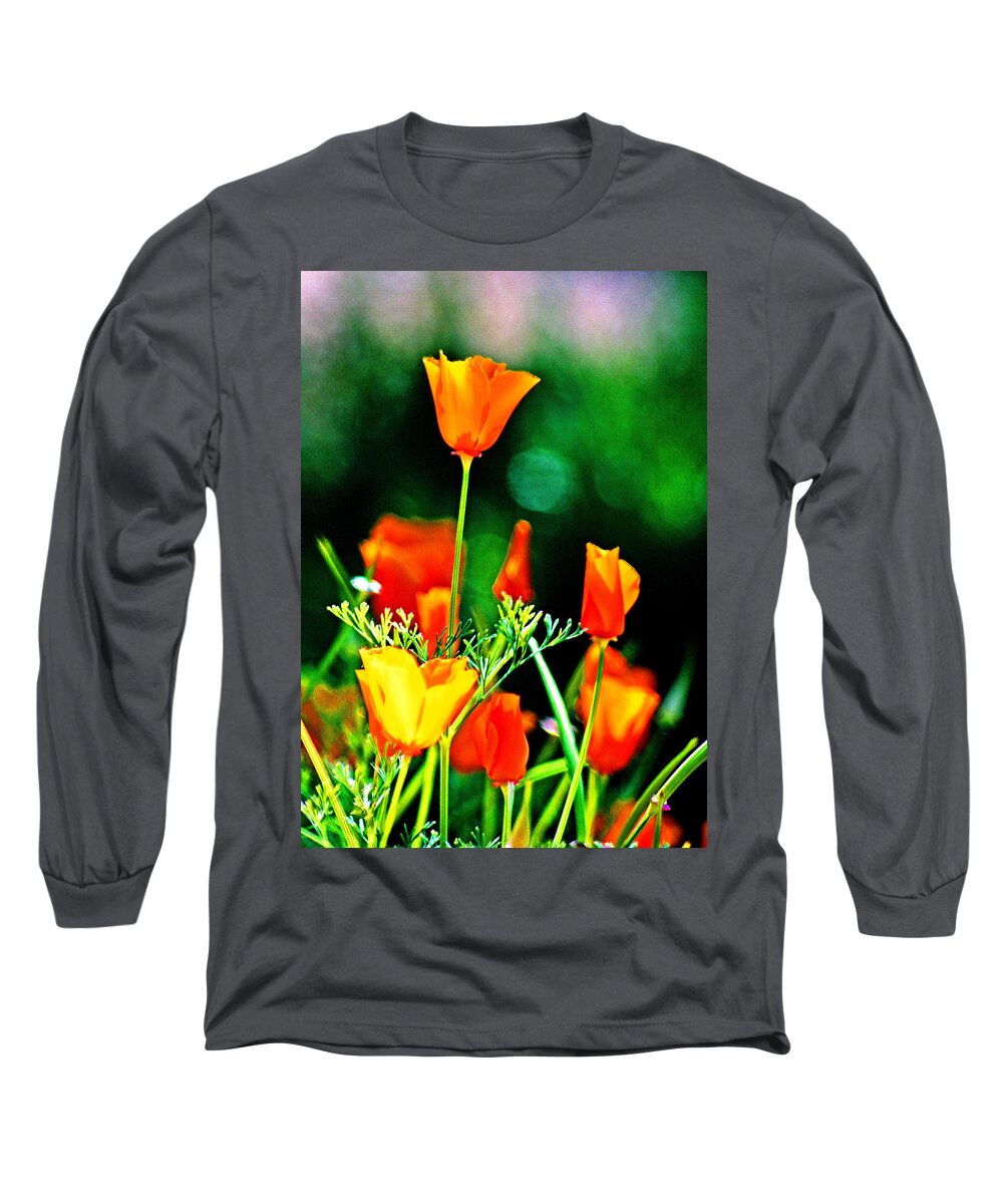 Sacramento Delta Long Sleeve T-Shirt featuring the digital art Sacramento Delta Poppies by Joseph Coulombe