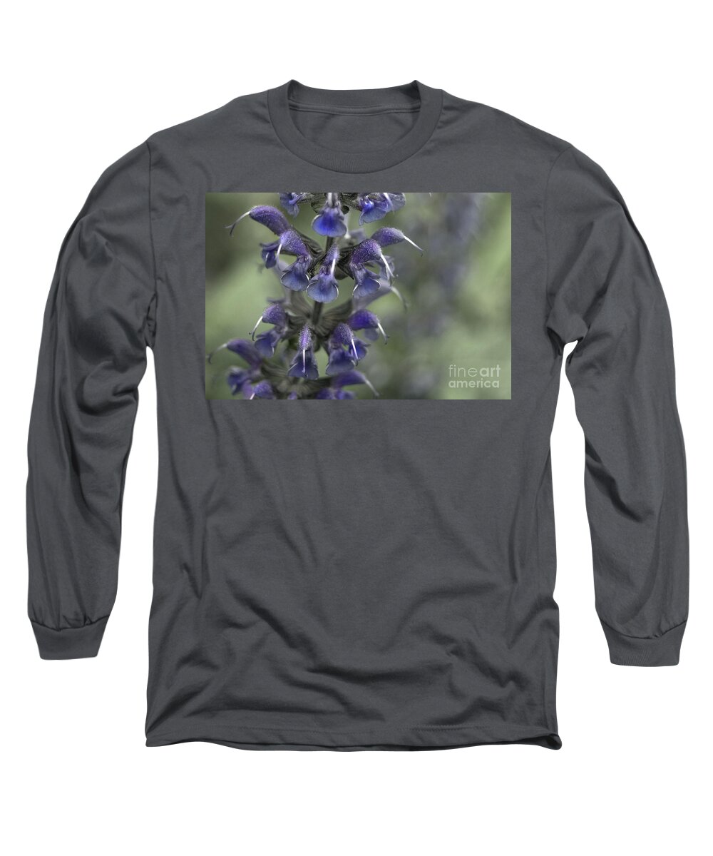 Flower Digital Photography Long Sleeve T-Shirt featuring the digital art Salvia Grace by Danielle Summa