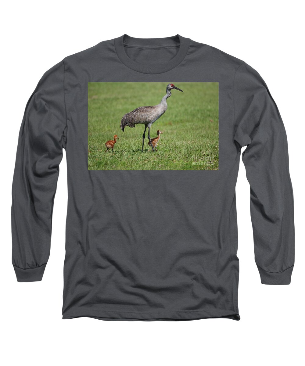 Sandhill Cranes Long Sleeve T-Shirt featuring the photograph Sandhill Crane and Two Colts by John Greco