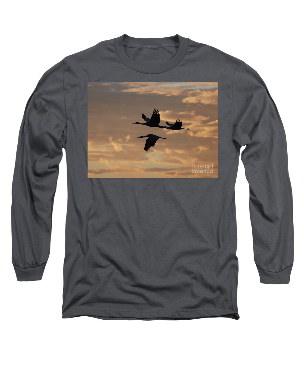 Sandhill Cranes Long Sleeve T-Shirt featuring the photograph Sandhill Cranes No. 1 by John Greco