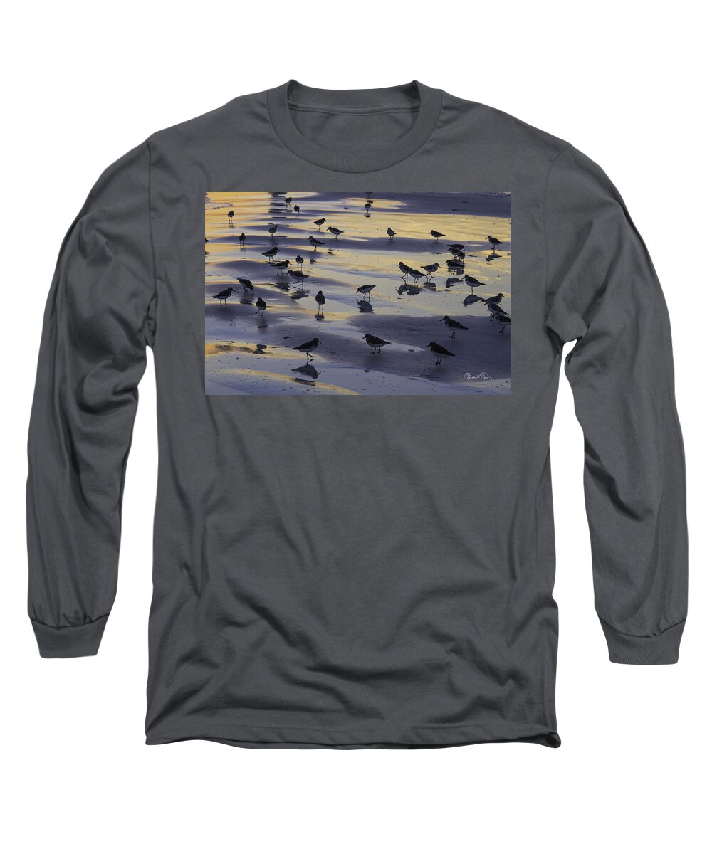 susan Molnar Long Sleeve T-Shirt featuring the photograph Sandpiper Sunset Convention by Susan Molnar