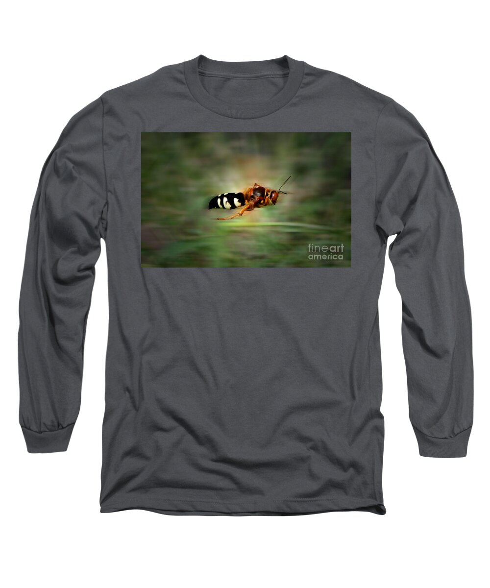 Cicada Long Sleeve T-Shirt featuring the photograph Scouting Mission by Thomas Woolworth