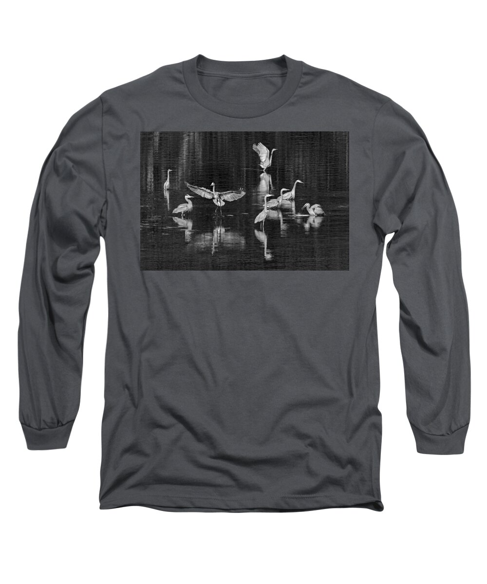 Seabeck Herons Long Sleeve T-Shirt featuring the photograph Seabeck Herons by Wes and Dotty Weber