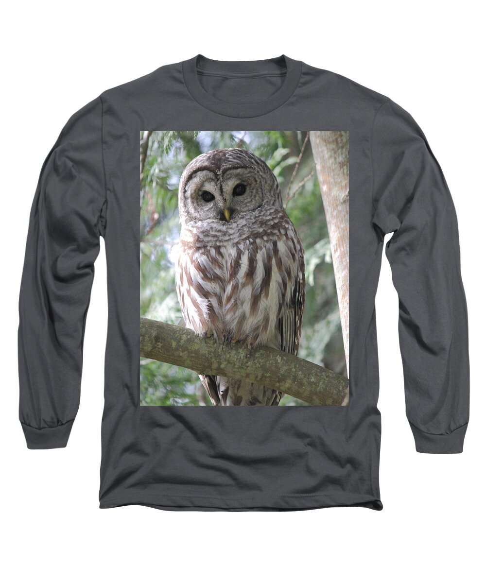 Owl Long Sleeve T-Shirt featuring the photograph Security Cam by Randy Hall