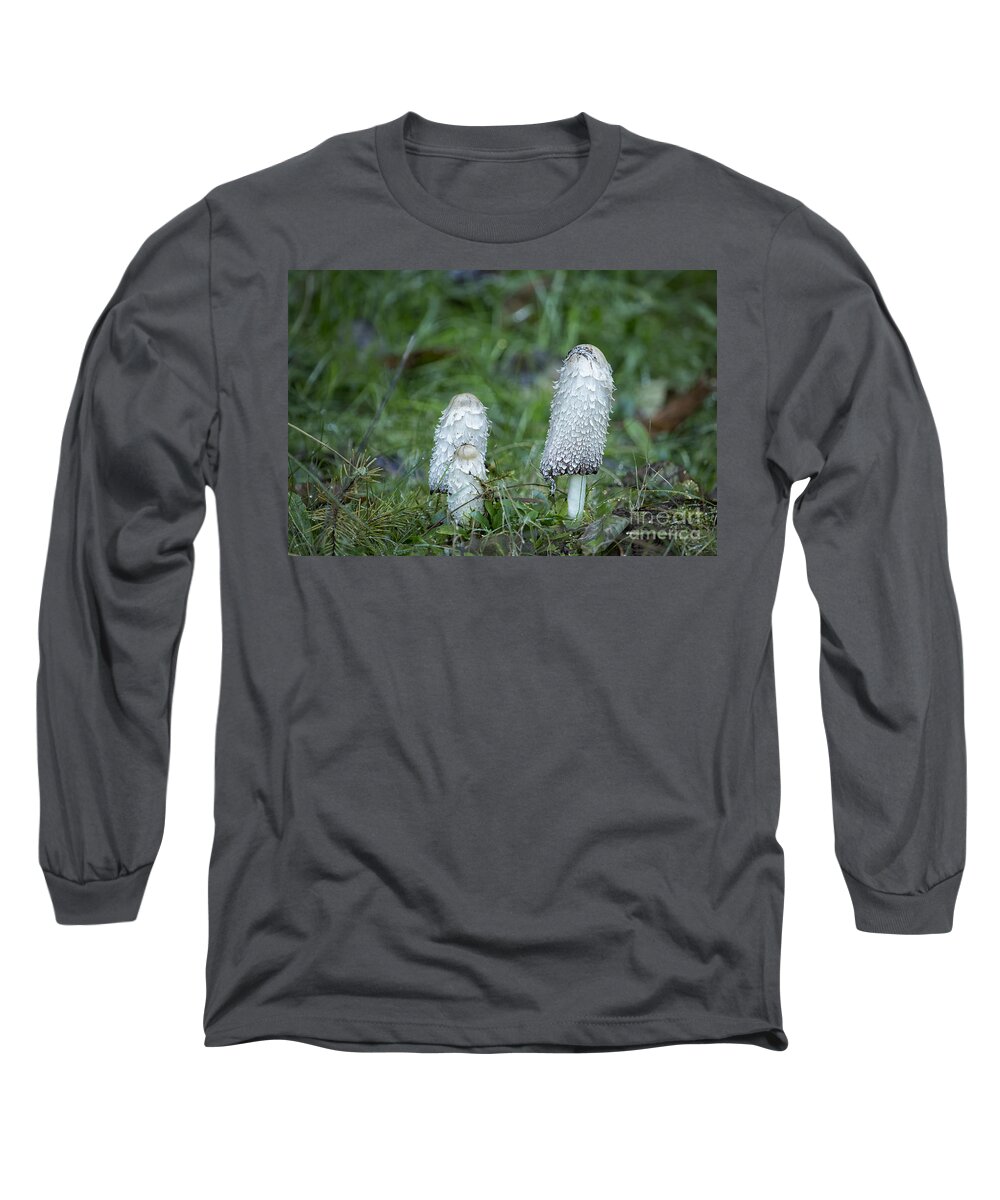 Mushroom Long Sleeve T-Shirt featuring the photograph Shaggy Cap Mushroom No. 3 by Belinda Greb