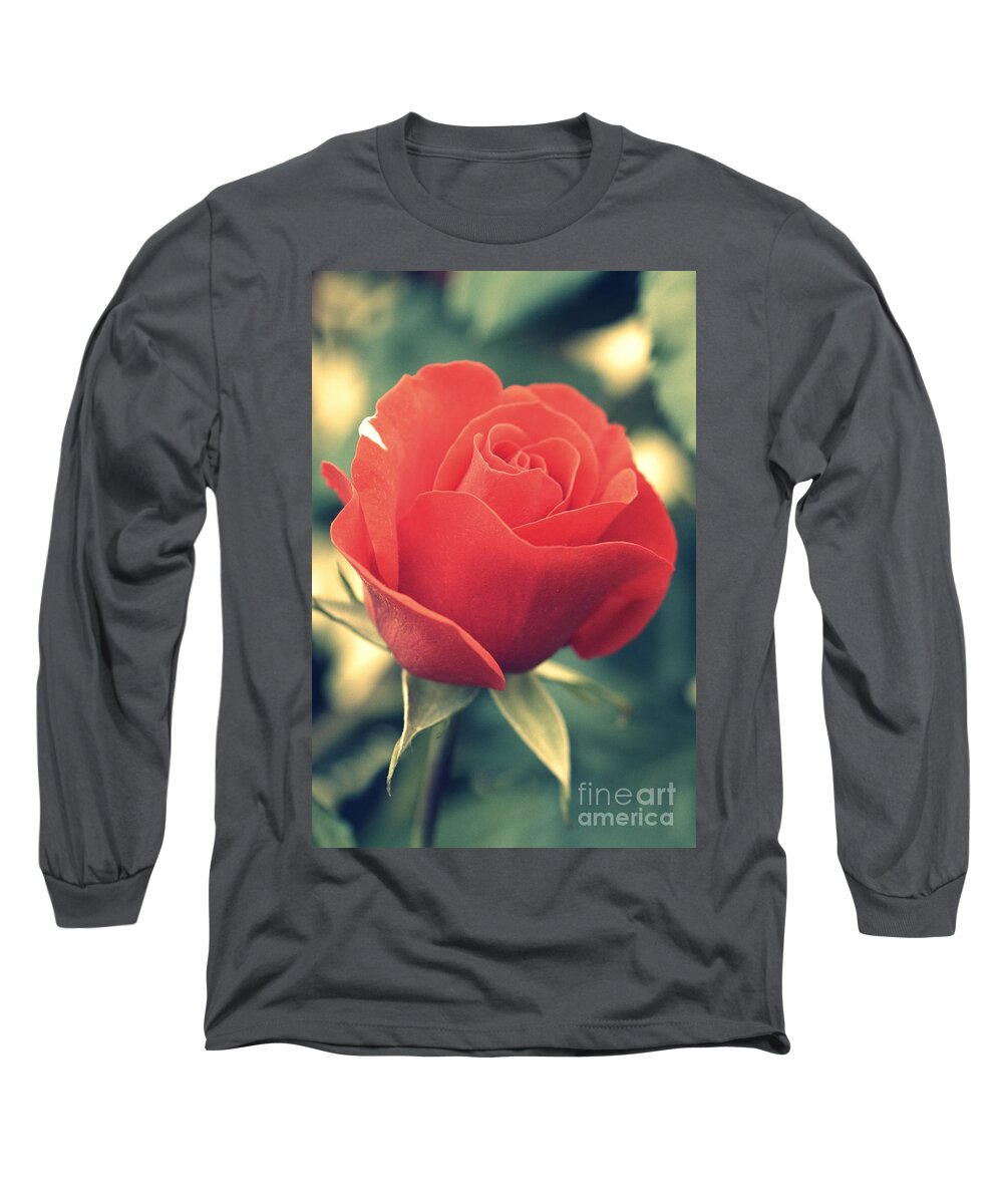 Gift Long Sleeve T-Shirt featuring the photograph Single red Rose by Amanda Mohler