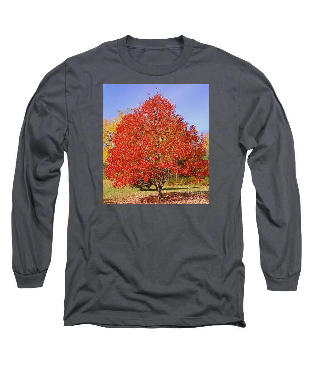 Single Tree Long Sleeve T-Shirt featuring the photograph Single Tree by Eunice Miller