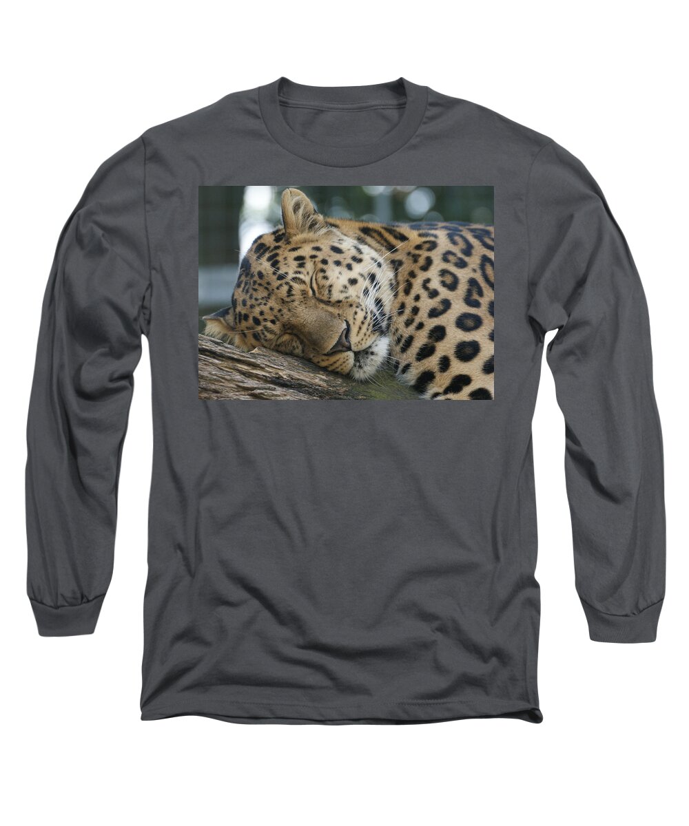 Sleeping Long Sleeve T-Shirt featuring the photograph Sleeping Leopard by Chris Boulton