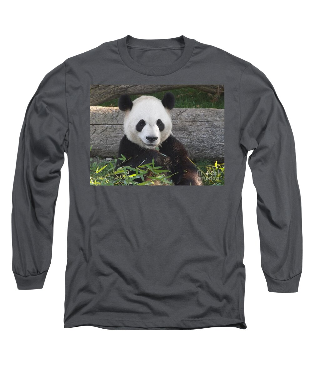 Panda Long Sleeve T-Shirt featuring the photograph Smiling Giant Panda by Lingfai Leung