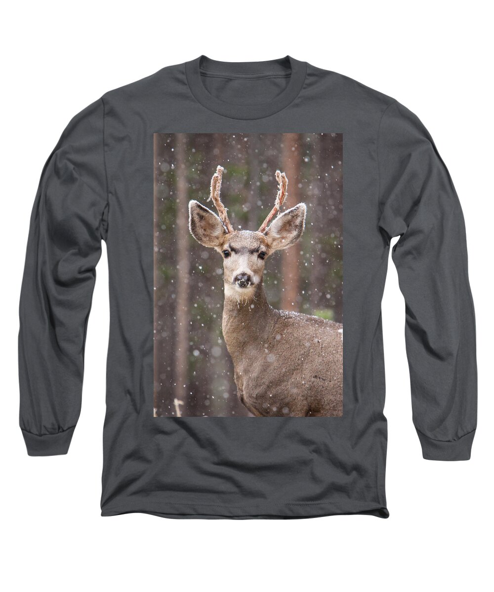 Antler Long Sleeve T-Shirt featuring the photograph Snow Deer 1 by John Wadleigh