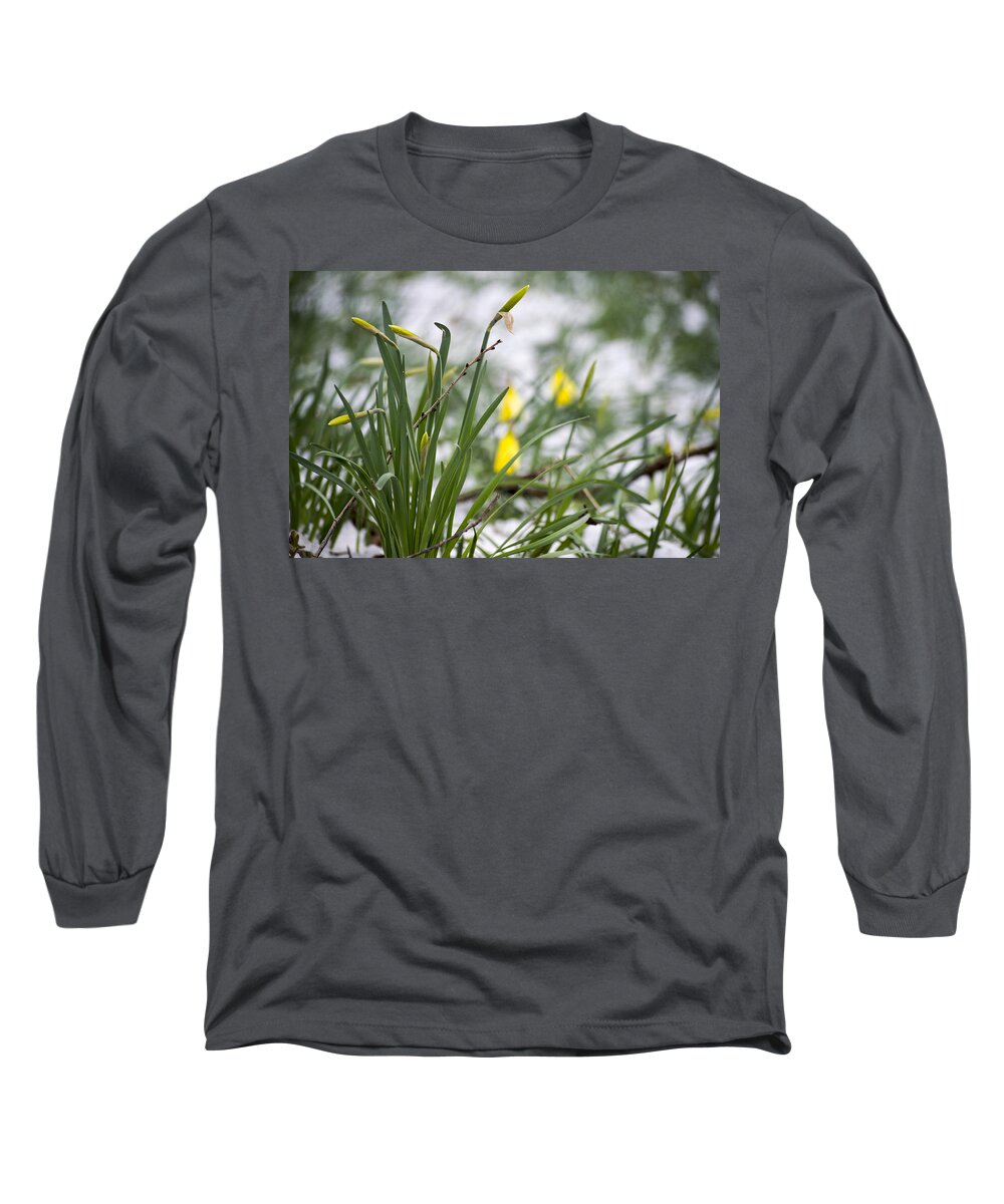 Daffodils Long Sleeve T-Shirt featuring the photograph Snowy Daffodils by Spikey Mouse Photography