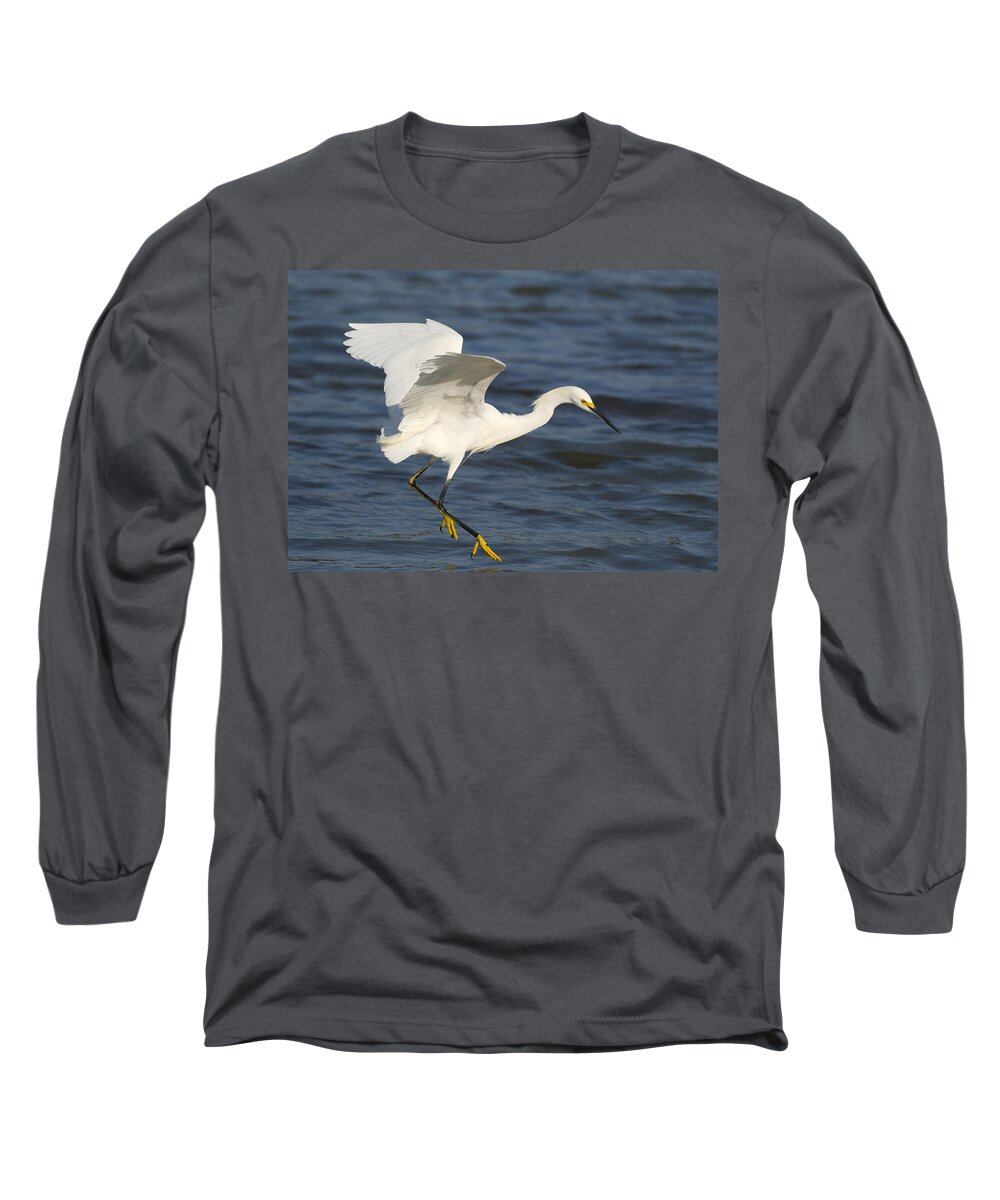535786 Long Sleeve T-Shirt featuring the photograph Snowy Egret Flying by Steve Gettle