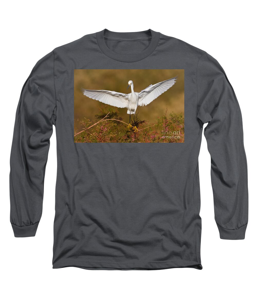 Egret Long Sleeve T-Shirt featuring the photograph Snowy Wingspread by Bryan Keil