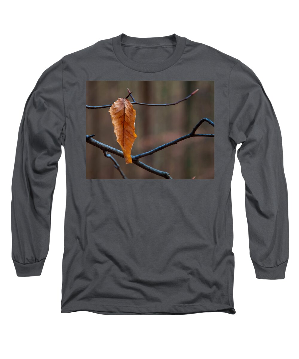 Flowers Long Sleeve T-Shirt featuring the photograph Solitary Leaf by Flees Photos