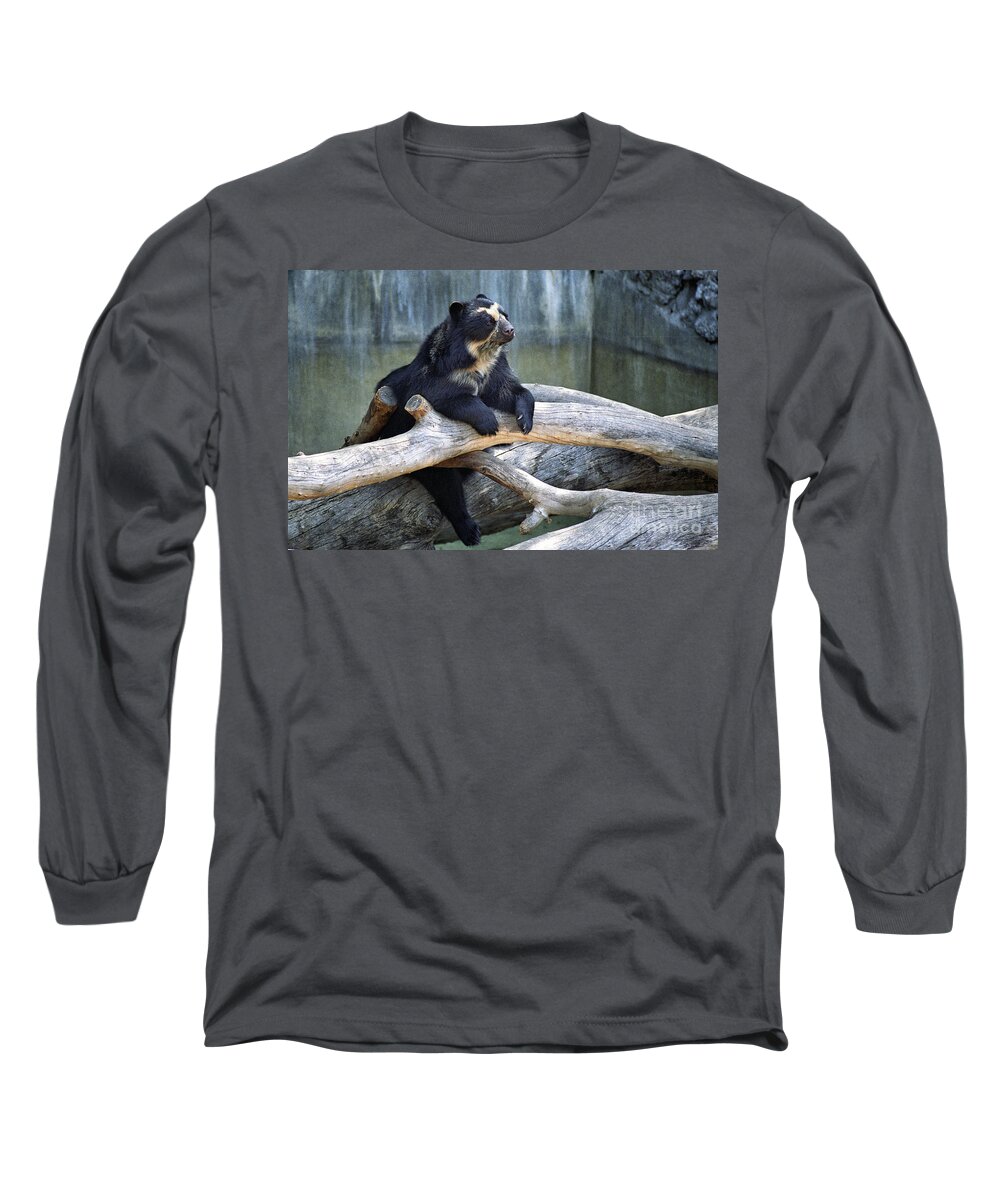  Spectacled Long Sleeve T-Shirt featuring the photograph Spectacled Bear by Timothy Hacker