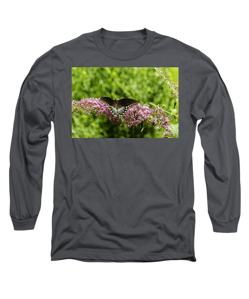 Antenna Long Sleeve T-Shirt featuring the photograph Spicebush Swallowtail by Mary Carol Story