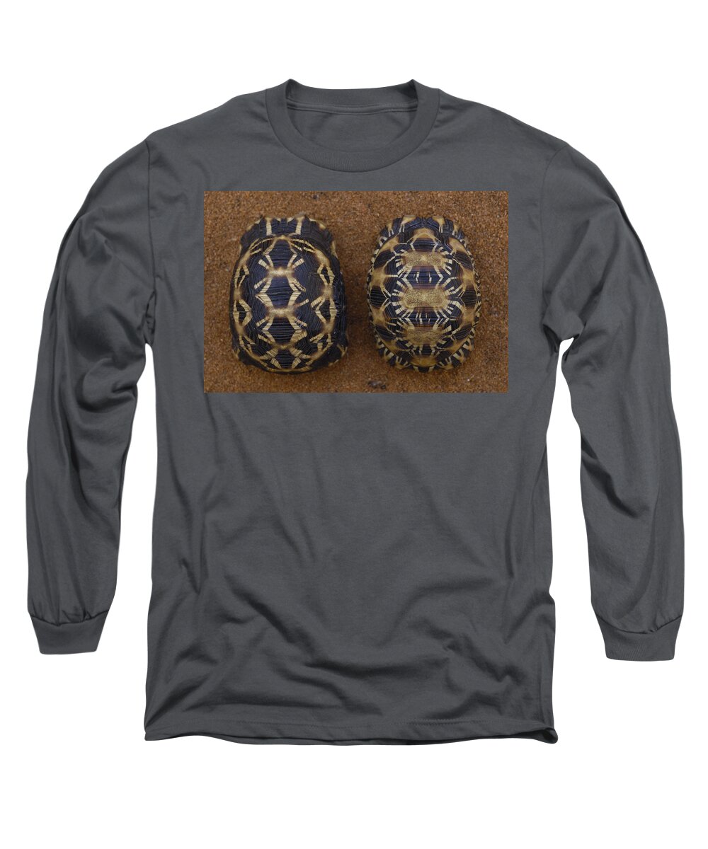Feb0514 Long Sleeve T-Shirt featuring the photograph Spider Tortoisel Radiated Tortoise R by Pete Oxford