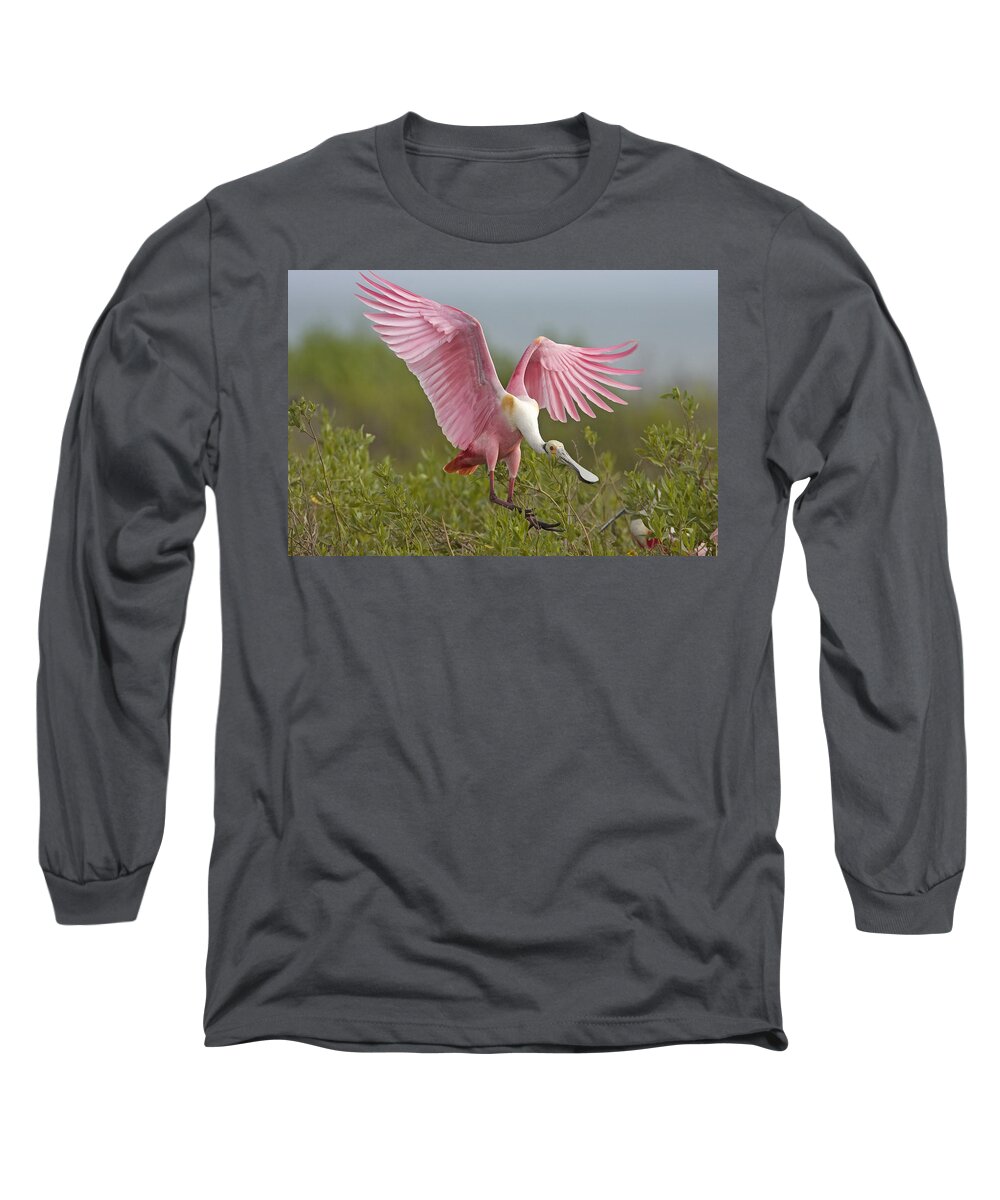 Pink Long Sleeve T-Shirt featuring the photograph Spoonie by Jack Milchanowski