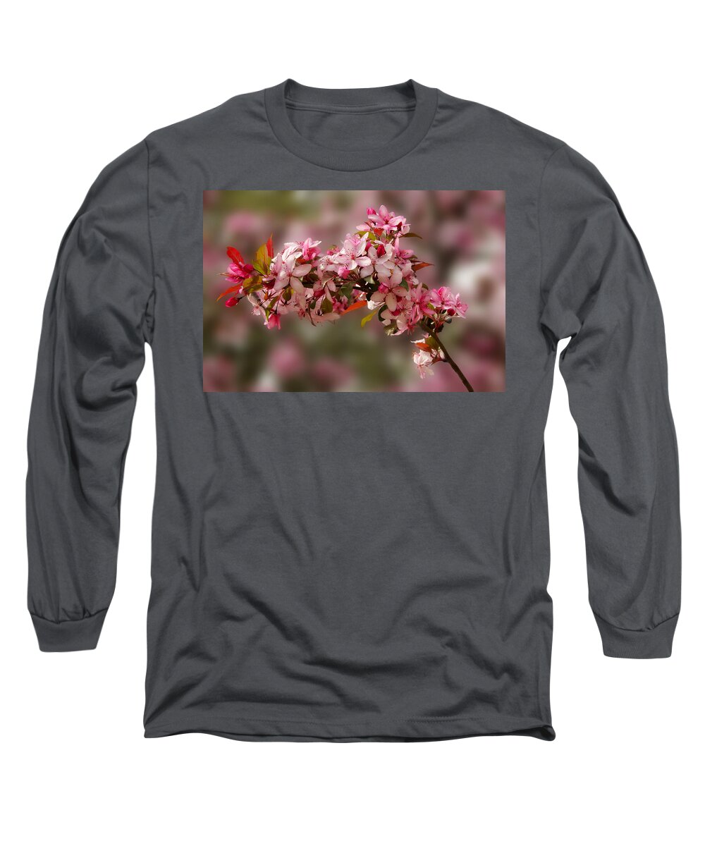 April Long Sleeve T-Shirt featuring the photograph Cheery Cherry Blossoms by Penny Lisowski