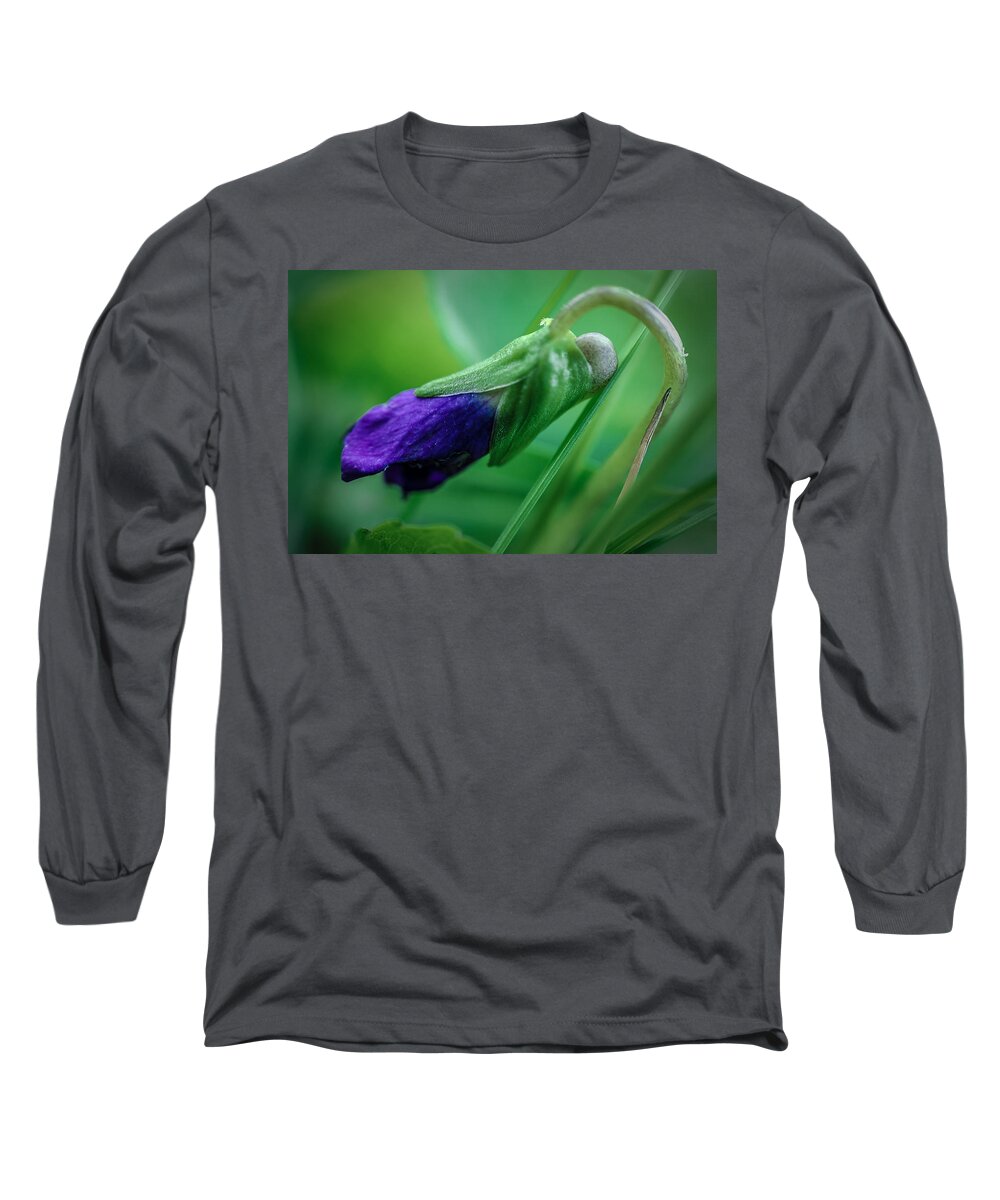 Violet Long Sleeve T-Shirt featuring the photograph Spring Violet by Rick Bartrand