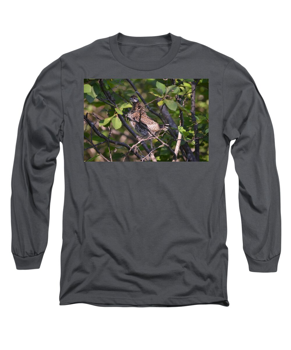 Nature Long Sleeve T-Shirt featuring the photograph Spruce Grouse2 by James Petersen