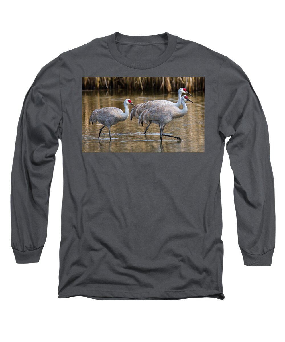 Birds Long Sleeve T-Shirt featuring the photograph Steppin Out by Randy Hall