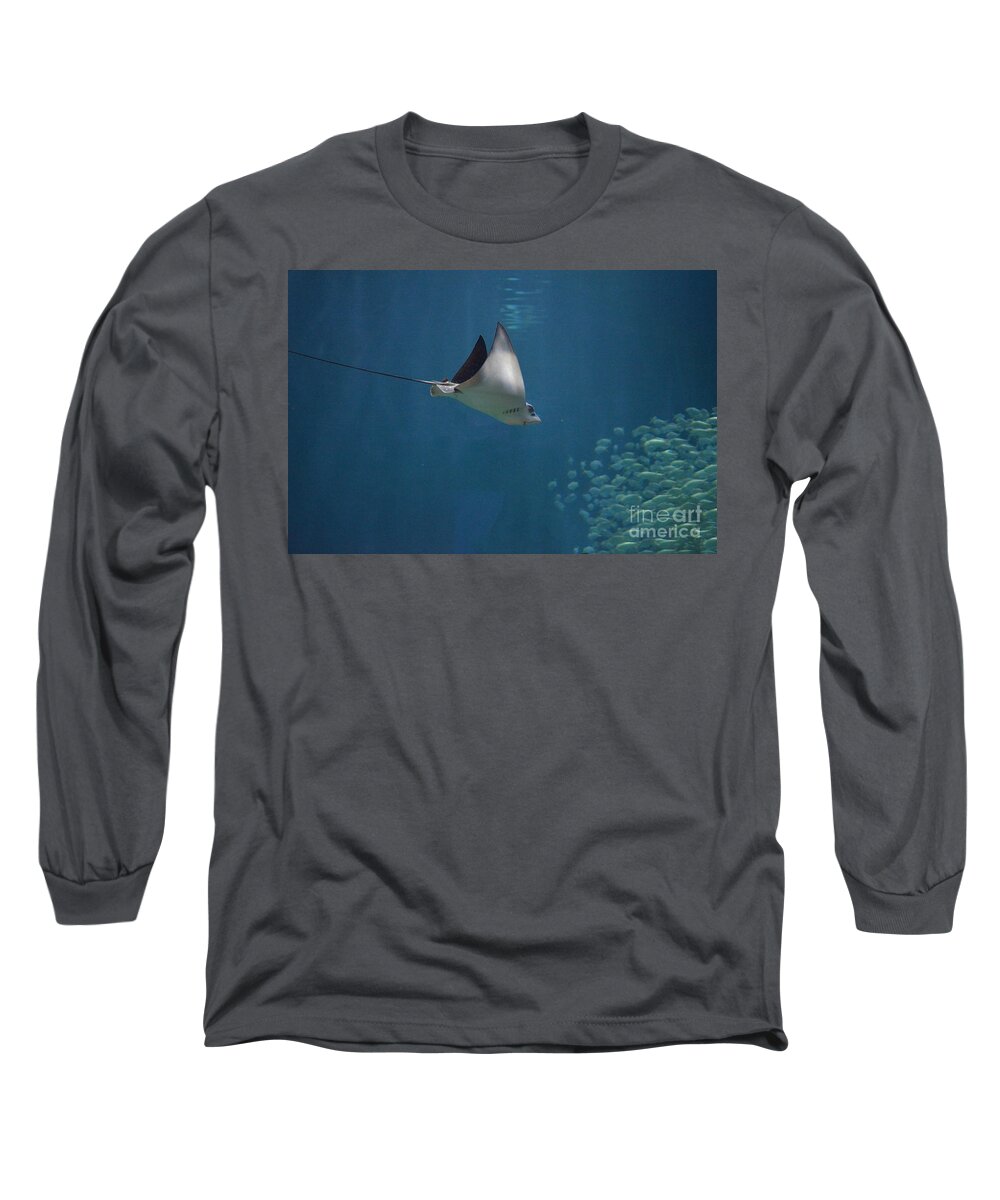 Ray Long Sleeve T-Shirt featuring the photograph Stringray Heading Towards Fish by DejaVu Designs