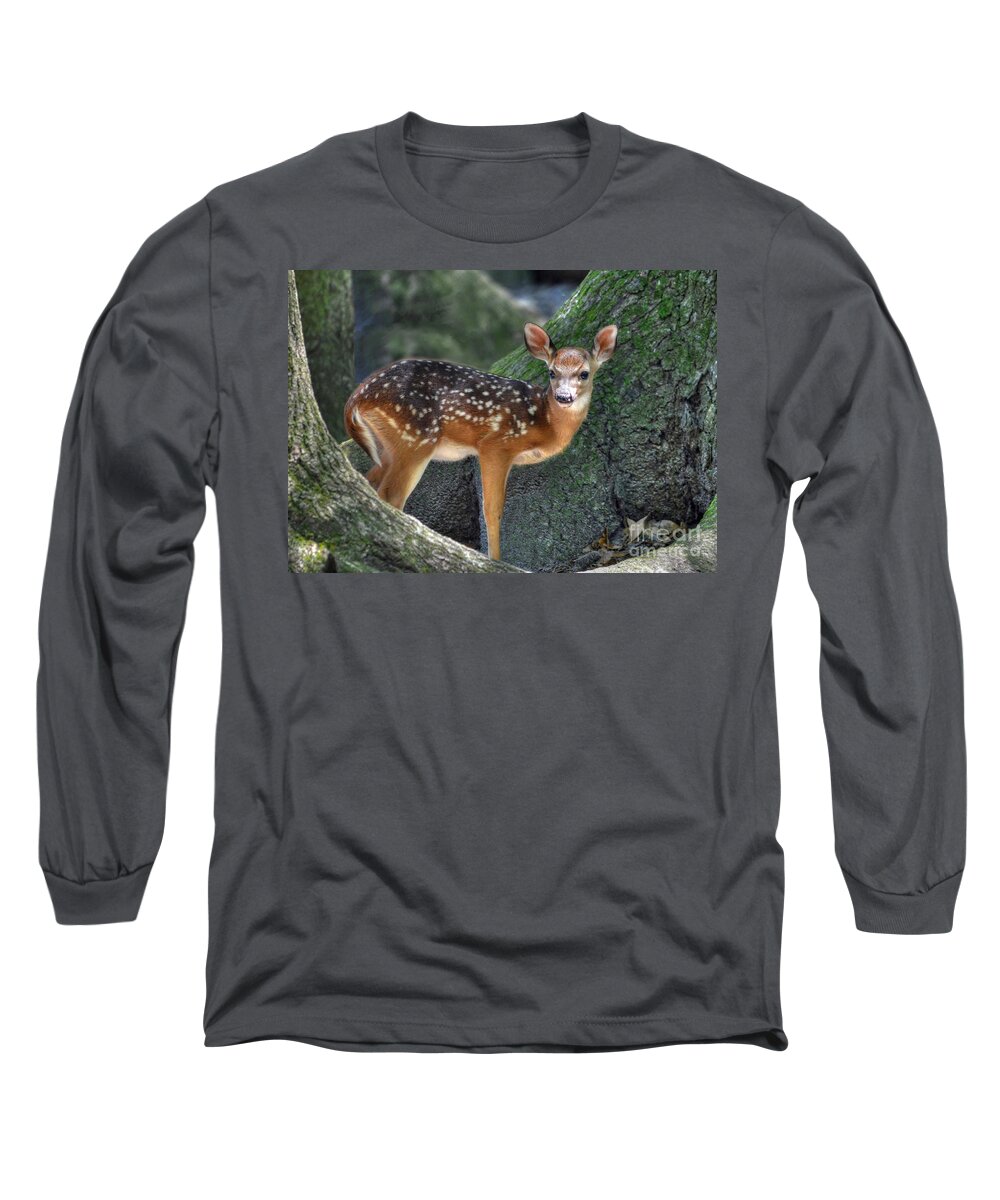 Deer Long Sleeve T-Shirt featuring the photograph Such A Deer by Kathy Baccari