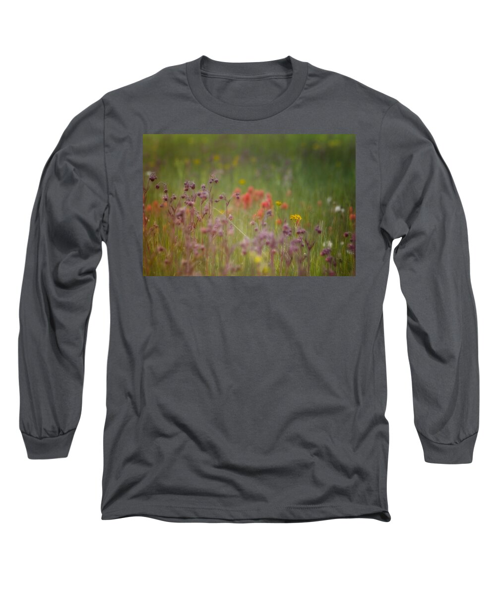 Ellen Lacey Long Sleeve T-Shirt featuring the photograph Summer Meadow by Ellen Heaverlo